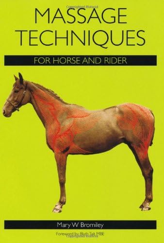 Massage Techniques for Horse and Rider