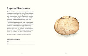 The Pebble Spotter's Guide,Used
