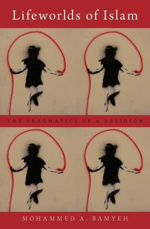 Lifeworlds of Islam: The Pragmatics of a Religion,Used