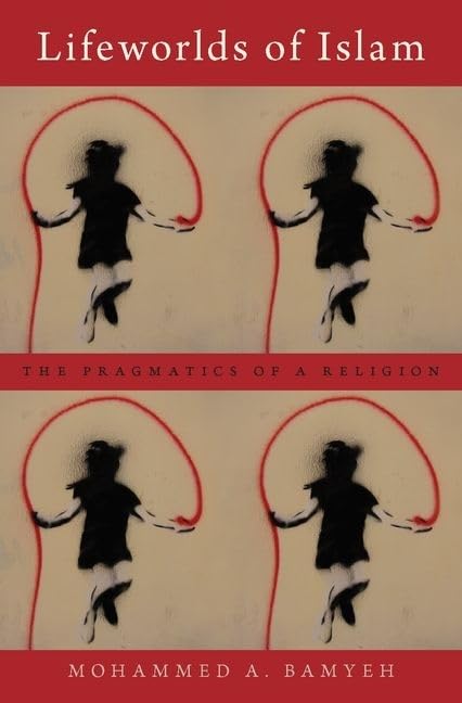 Lifeworlds of Islam: The Pragmatics of a Religion,Used
