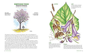The Tree Book for Kids and Their GrownUps,New