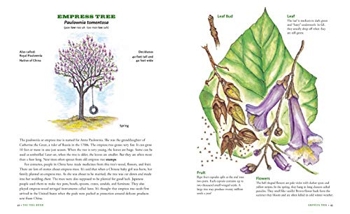 The Tree Book for Kids and Their GrownUps,New
