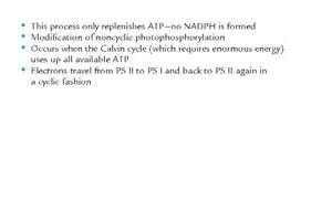 Barron's AP Biology Flash Cards,Used
