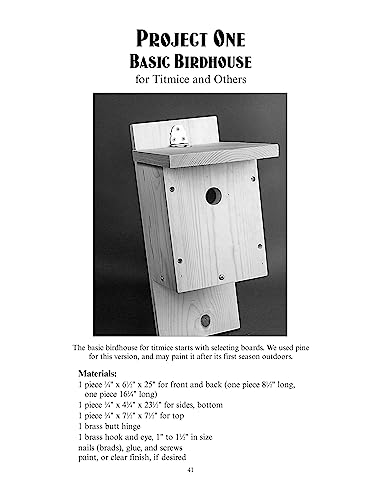 EasytoBuild Birdhouses (Dover Crafts: Woodworking),Used