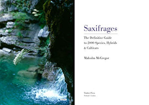Saxifrages: The Definitive Guide To 2000 Species, Hybrids & Cultivars,Used
