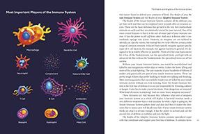 Immune: A Journey Into The Mysterious System That Keeps You Alive,Used