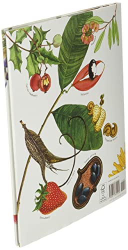 A Seed Is Sleepy (Sylvia Long),New