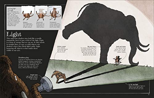 Mammoth Science: The Big Ideas That Explain Our World (DK David Macaulay How Things Work),Used