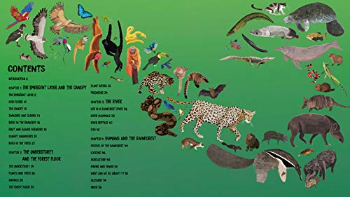 All the Way Down: Amazon Rainforest,Used