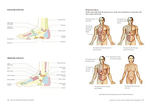 Gua Sha Scraping Massage Techniques: A Natural Way of Prevention and Treatment through Traditional Chinese Medicine,New