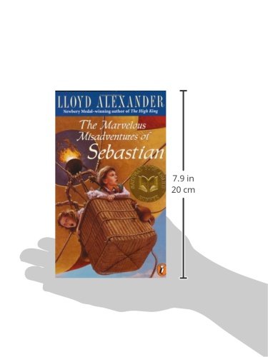The Marvelous Misadventures of Sebastian,Used