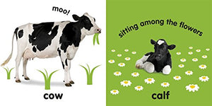 Baby Touch And Feel: Farm Animals,New