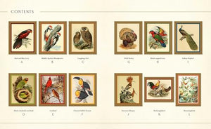 Museum Mosaics: Smithsonian Birds