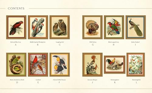 Museum Mosaics: Smithsonian Birds