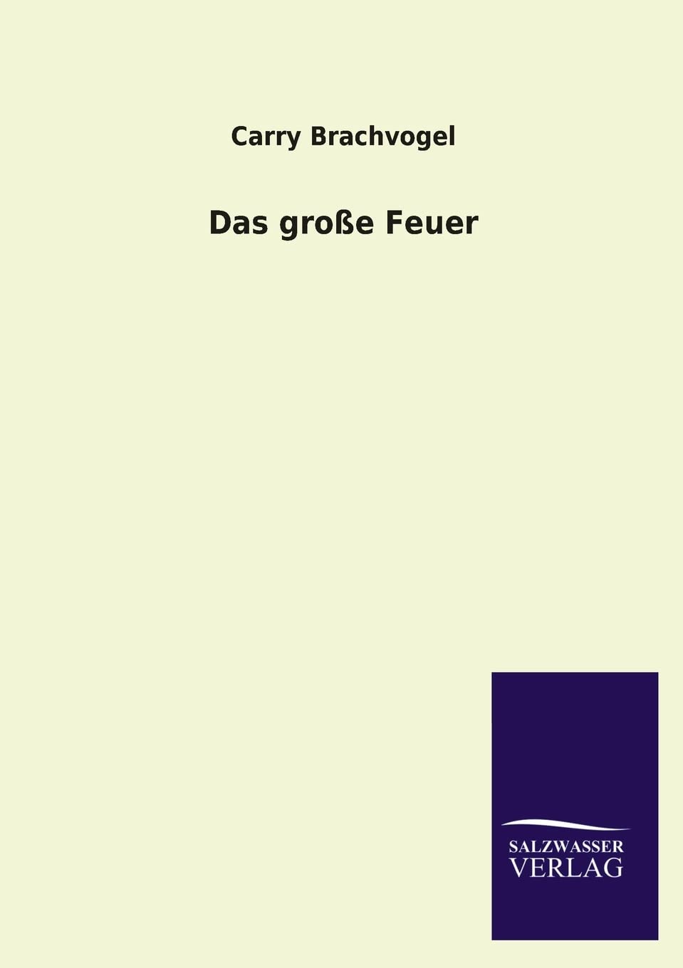 Das Grosse Feuer (German Edition),Used