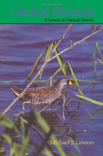 Okoboji Wetlands: A Lesson in Natural History (Bur Oak Book),Used