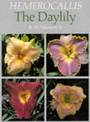 Hemerocallis, the Daylily,Used
