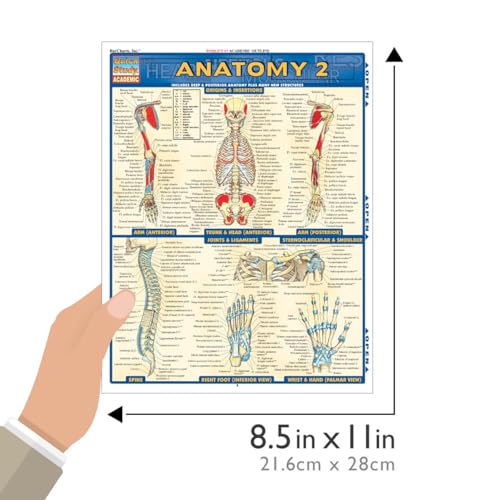 Anatomy 2 Quickstudy Laminated Reference Guide (Quickstudy Academic)