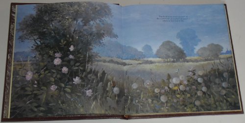 Beningfield's Country: 2 (A Studio book),Used