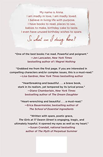 The Girls at 17 Swann Street: A Novel,Used