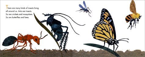 Bugs Are Insects (Let'Sreadandfindout Science Books),Used