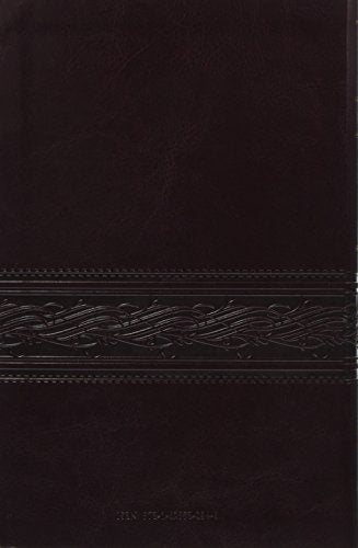 MEV Bible Personal Size Large Print Cherry Brown Indexed: Modern English Version,Used