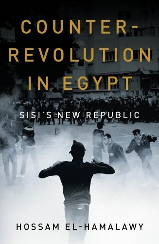 Counterrevolution In Egypt: SisiS New Republic