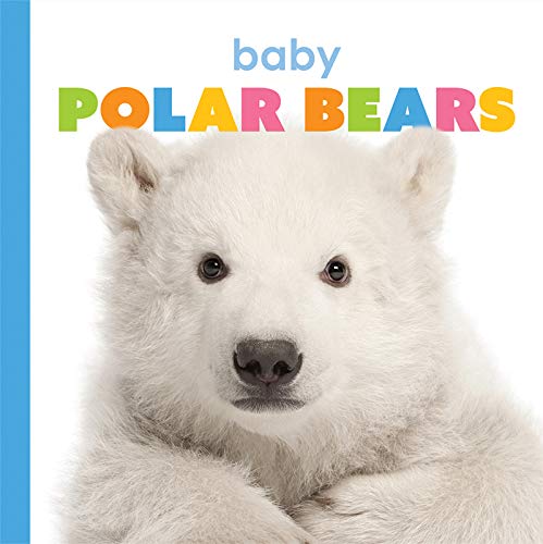 Baby Polar Bears (Starting Out)