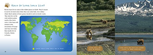 Kings of the Wild: Topaz/ Band 13 (Collins Big Cat),Used