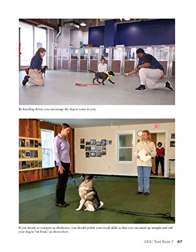 Canine Good Citizen: The Official AKC Guide, 2nd Edition: Ten Essential Skills Every WellMannered Dog Should Know (CompanionHou,Used