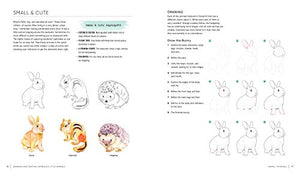 Drawing And Painting Expressive Little Animals: Simple Techniques For Creating Animals With Personality  Includes 66 Stepbyst