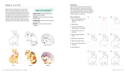 Drawing And Painting Expressive Little Animals: Simple Techniques For Creating Animals With Personality  Includes 66 Stepbyst