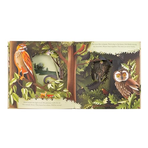 Union Square Kids A Walk Through the Woods Book - Engaging Story for Young Readers