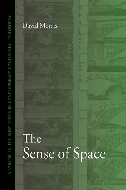 The Sense of Space (SUNY series in Contemporary Continental Philosophy),Used
