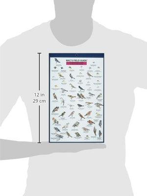 Mac's Field Guides: Northwest Park & Backyard Birds (Mac's Guides (Paperback)),New
