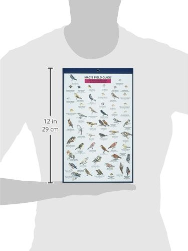 Mac's Field Guides: Northwest Park & Backyard Birds (Mac's Guides (Paperback)),Used