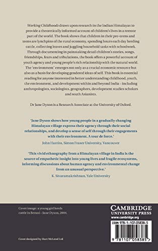 Working Childhoods: Youth, Agency and the Environment in India,Used