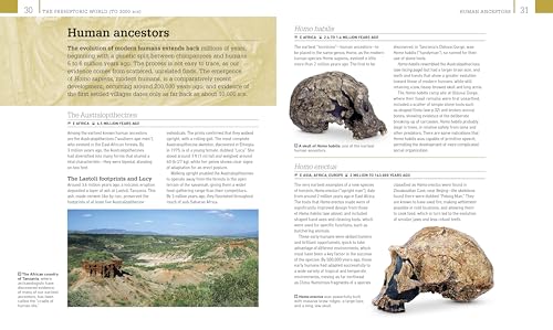 World History: From the Ancient World to the Information Age (DK Ultimate Guides),New