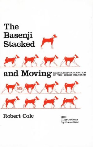 Basenji Stacked And Moving