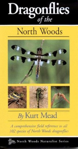 Dragonflies Of The North Woods,New