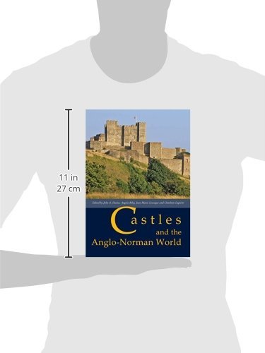 Castles and the AngloNorman World,Used