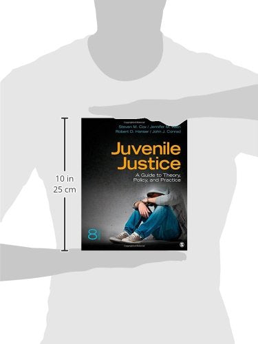 Juvenile Justice: A Guide To Theory, Policy, And Practice