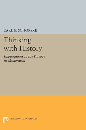 Thinking With History: Explorations In The Passage To Modernism (Princeton Legacy Library),Used