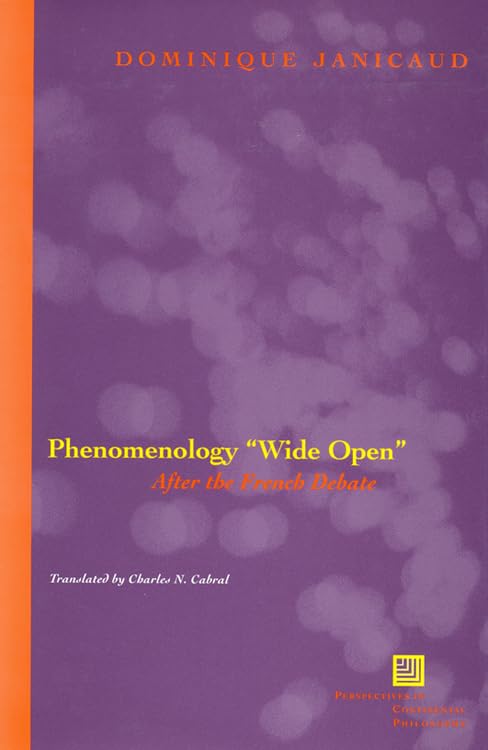 Phenomenology Wide Open: After The French Debate (Perspectives In Continental Philosophy)