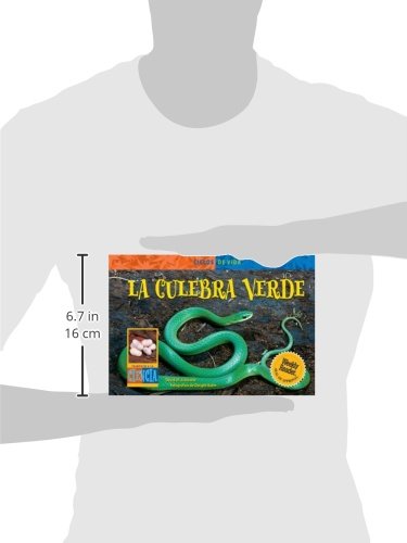 LA Culebra Verde/ Green Snake (Life Cycles) (Spanish Edition),Used