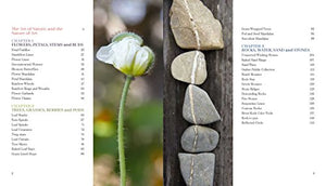 Foraged Art: Creating Projects Using Blooms, Branches, Leaves, Stones, and Other Elements Discovered in Nature,New