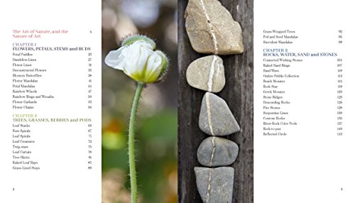 Foraged Art: Creating Projects Using Blooms, Branches, Leaves, Stones, and Other Elements Discovered in Nature,New