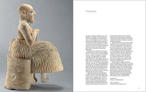 Mesopotamia: Civilization Begins,Used