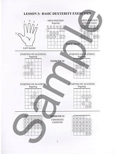 The Guitar Grimoire: Beginning Guitar,Used