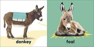 Baby Touch and Feel: Bible Animals,Used